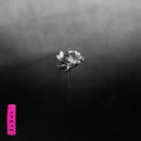 Little Simz - Lotus (Indie Exclusive)