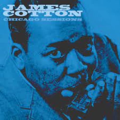 Cotton, James - Chicago Sessions