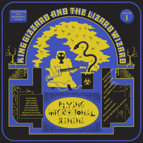 King Gizzard & the Lizard Wizard - Flying Microtonal Banana