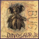 Dinosaur Jr. - Bug